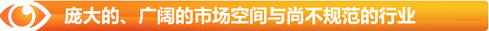 廣闊市場空間與尚不規(guī)范的行業(yè)