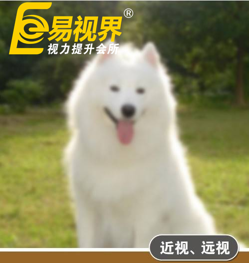 不一樣的眼病，不一樣的世界