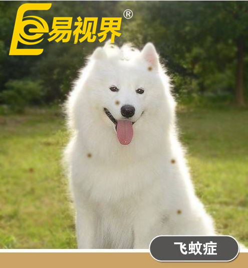 不一樣的眼病，不一樣的世界