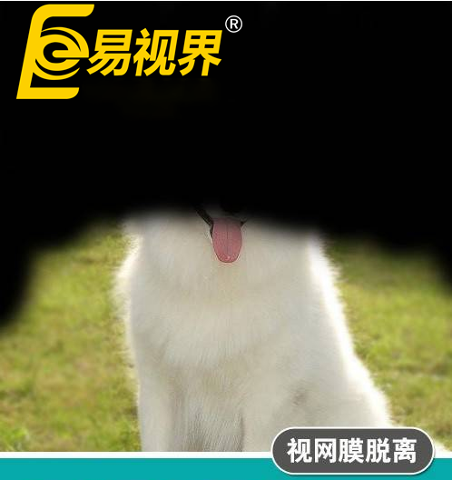 不一樣的眼病，不一
                </div>
                <div   id=