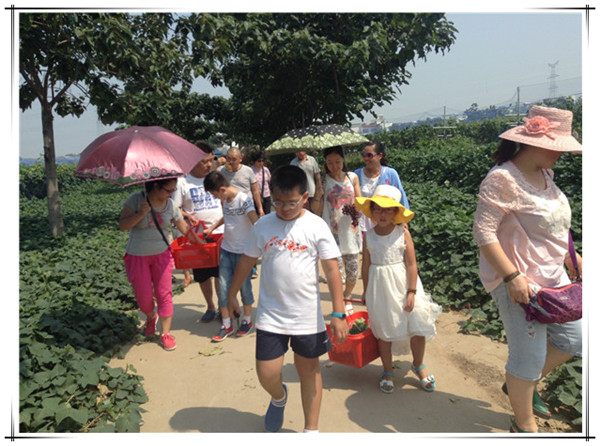 小朋友們滿(mǎn)載而歸