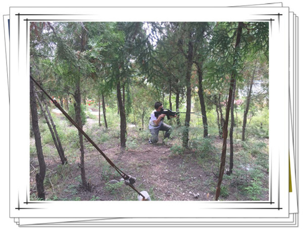 迅速進入狀態(tài)的易視界精英