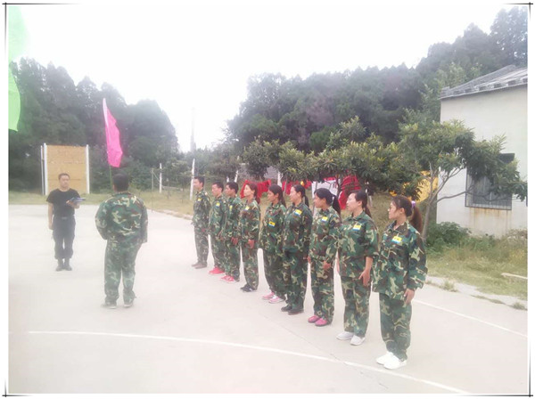 易視界精英團隊風采展示