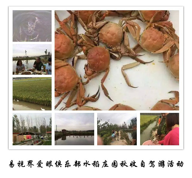 易視界愛(ài)眼俱樂(lè)部水稻莊園秋收自駕游活動(dòng)