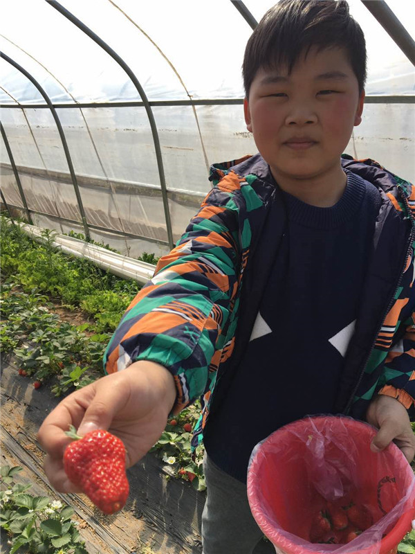 易視界小客戶開心的展示自己摘的草莓