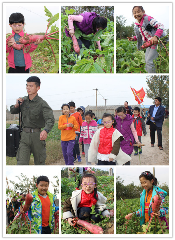 拔到蘿卜，好開心有木有