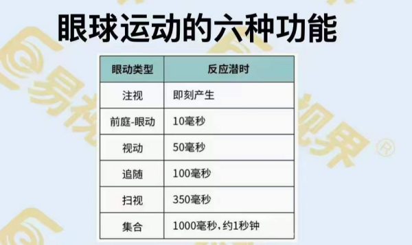 眼球運動的六種功能